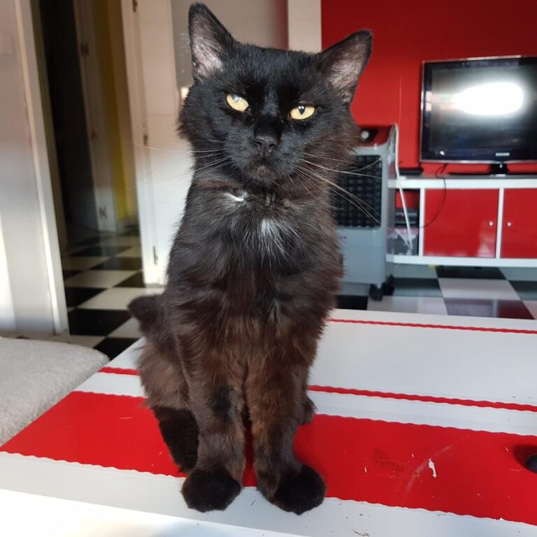 multimedia-foto64628-329-1