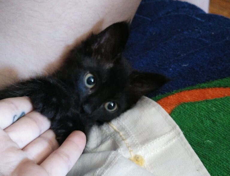 multimedia-foto64629-390-1