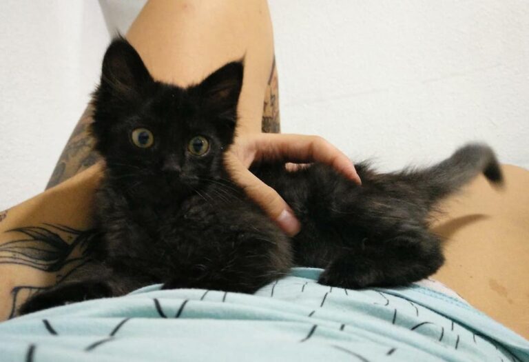 multimedia-foto64630-391-1