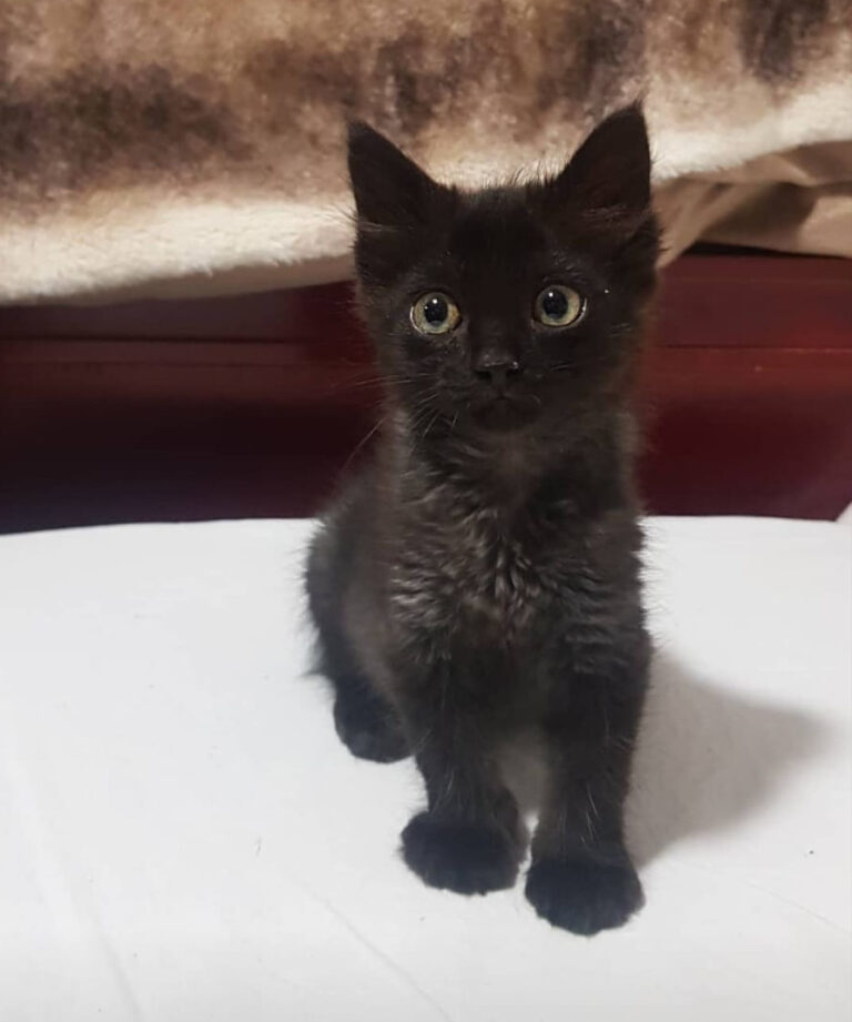 multimedia-foto64632-392-1