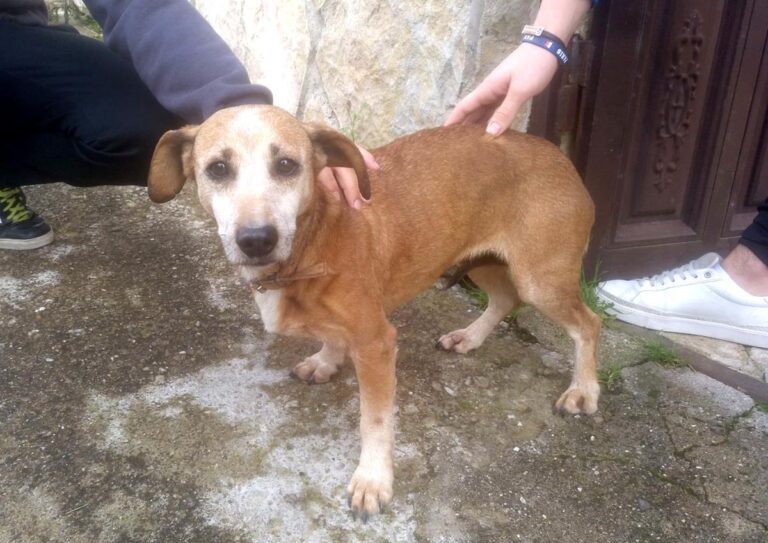 multimedia-foto64636-763-1