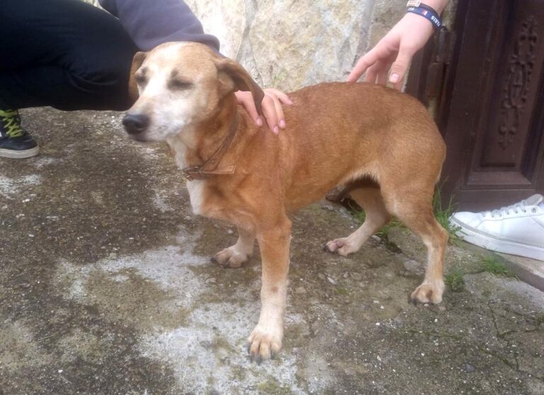 multimedia-foto64637-764-1