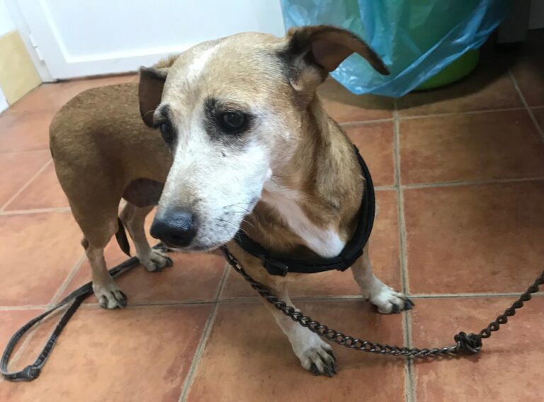 multimedia-foto64638-764-1