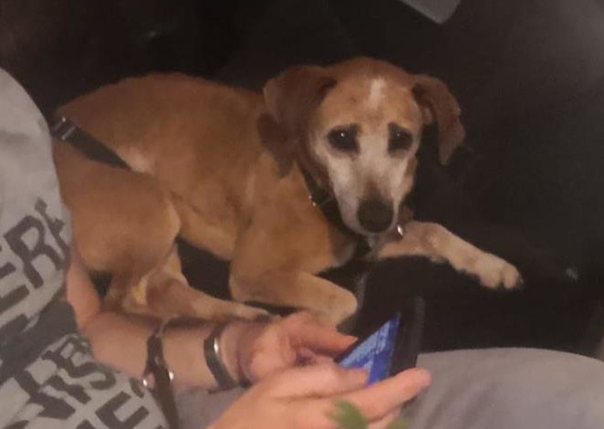 multimedia-foto64639-765-1