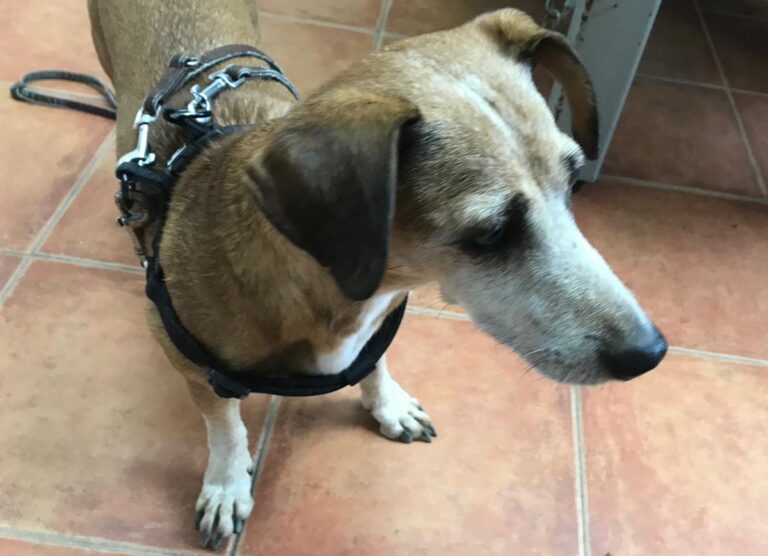 multimedia-foto64640-765-1