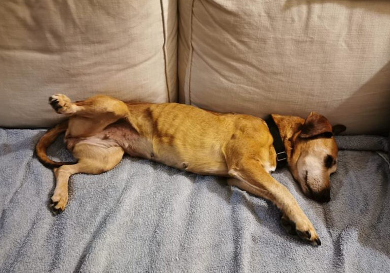 multimedia-foto64641-766-1