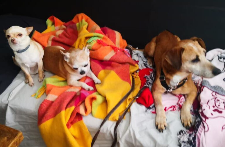 multimedia-foto64642-766-1