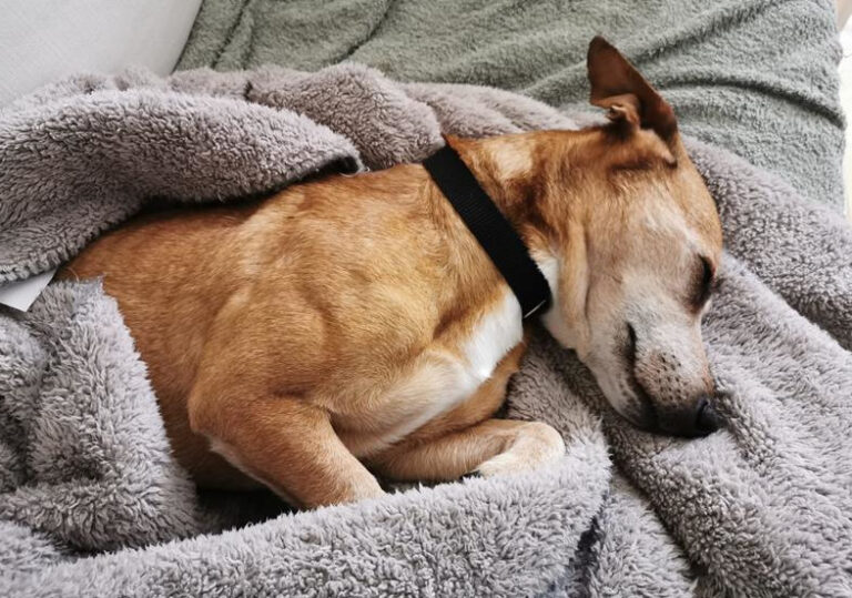 multimedia-foto64643-767-1