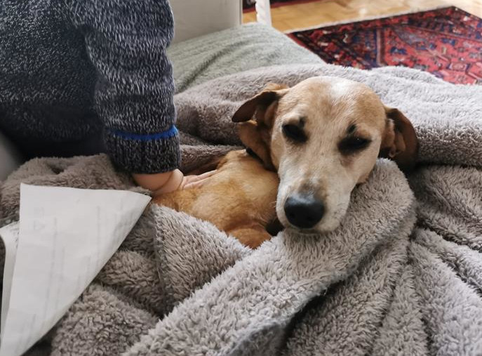 multimedia-foto64644-767-1