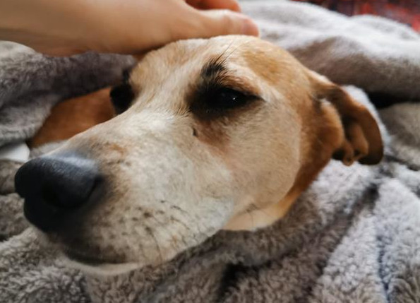 multimedia-foto64645-768-1