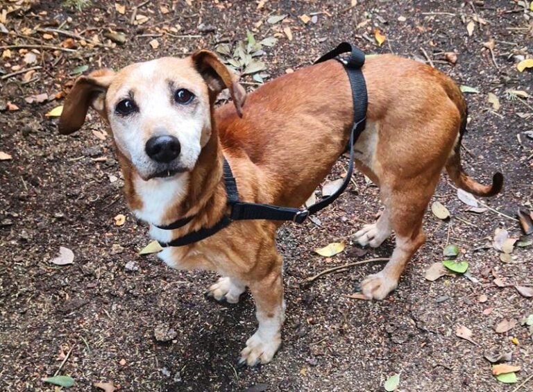 multimedia-foto64646-768-1