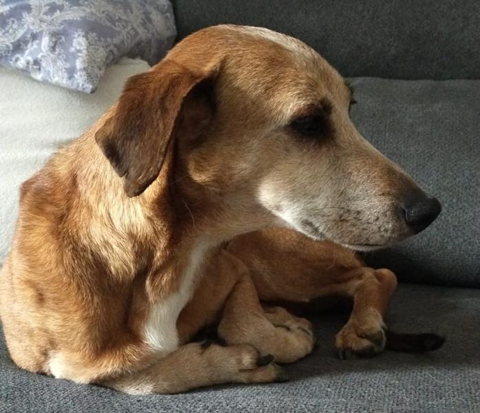 multimedia-foto64647-769-1