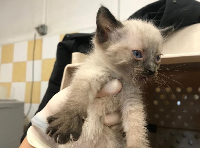 multimedia-foto64675-967-1