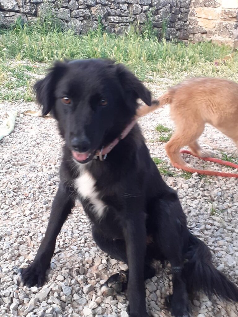 multimedia-foto64687-960-1