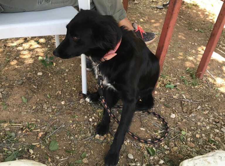 multimedia-foto64688-961-1