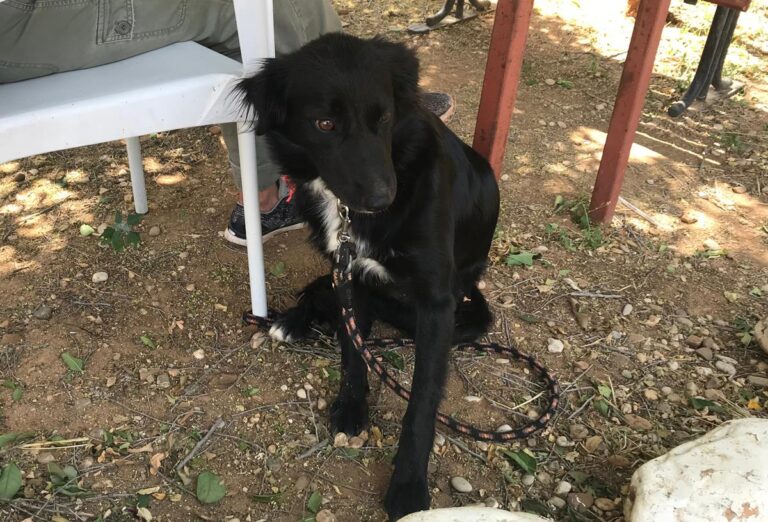 multimedia-foto64689-961-1