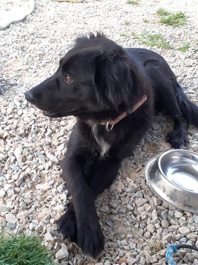 multimedia-foto64690-962-1