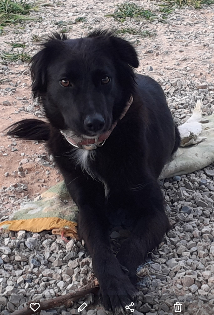 multimedia-foto64691-962-1