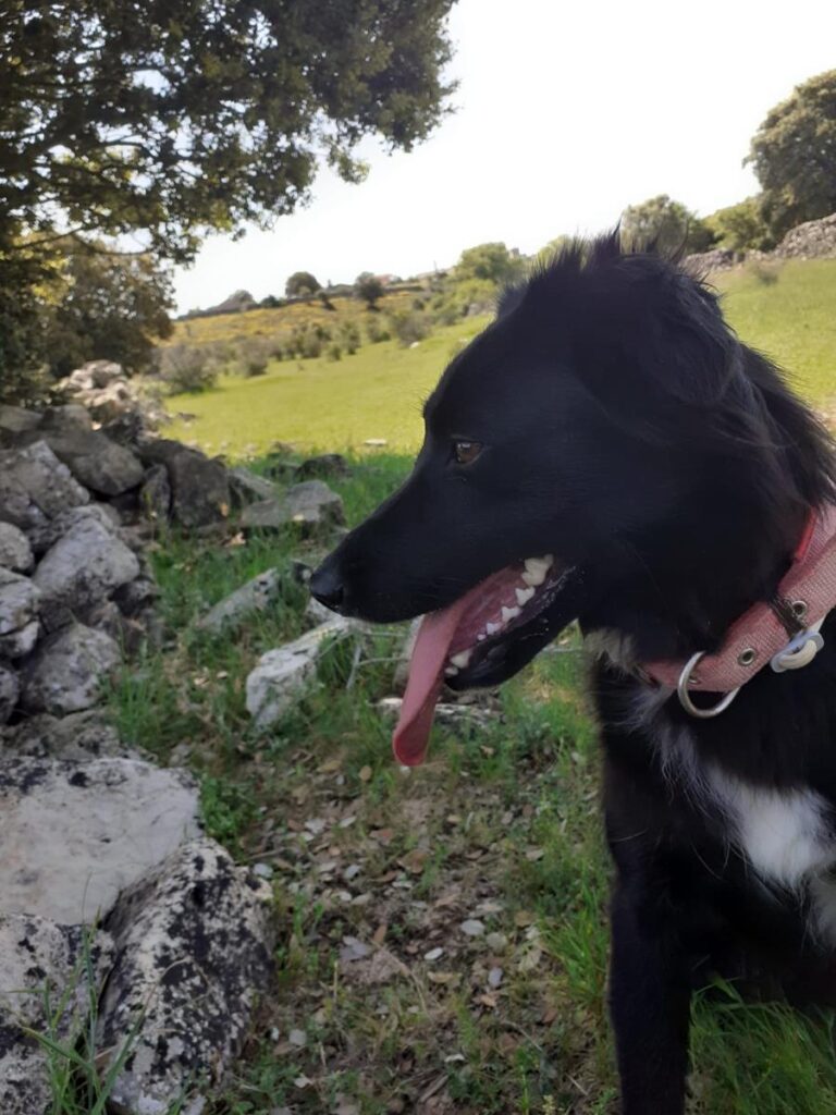 multimedia-foto64692-963-1