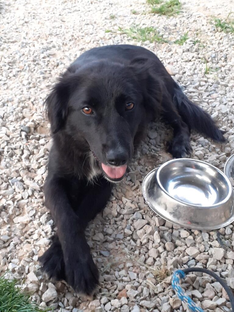 multimedia-foto64693-963-1