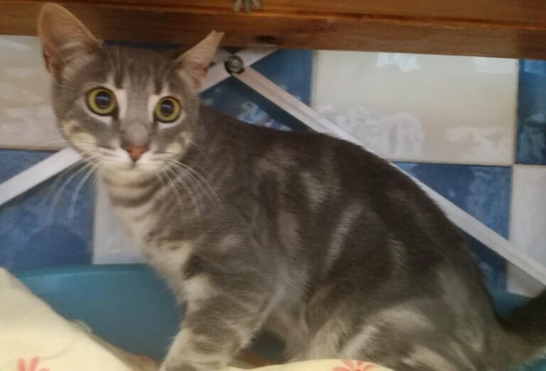 multimedia-foto64710-116-1