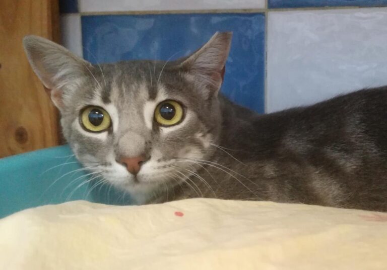 multimedia-foto64711-116-1