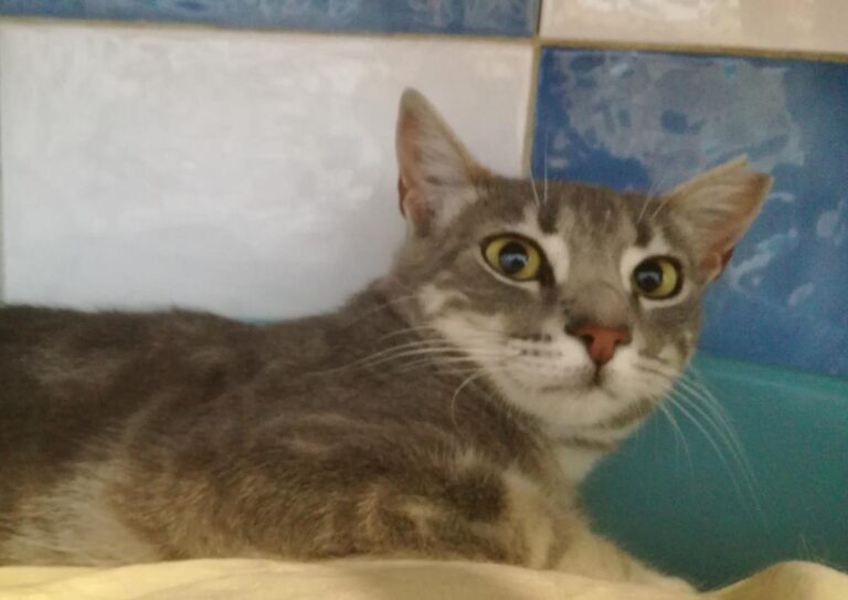 multimedia-foto64713-117-1