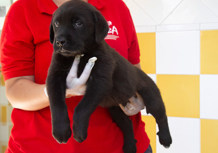 multimedia-foto64751-315-1