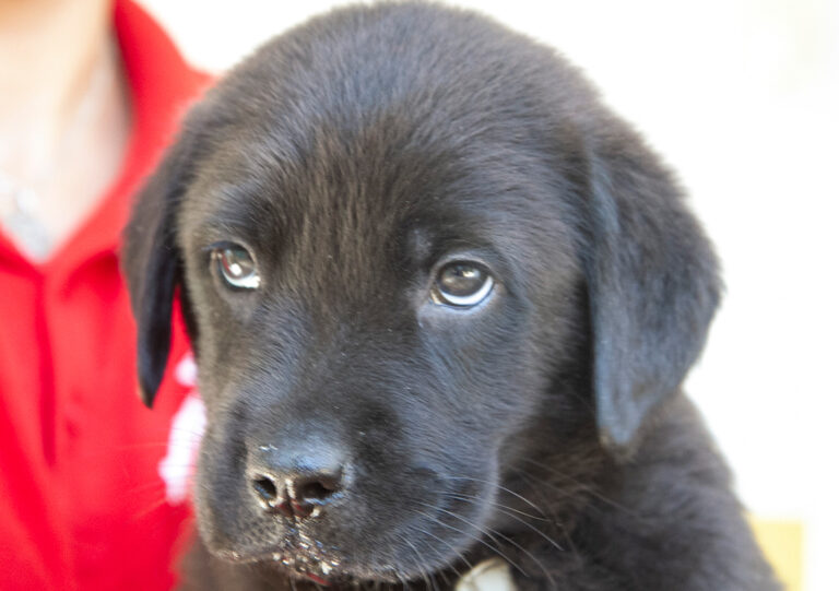 multimedia-foto64752-316-1