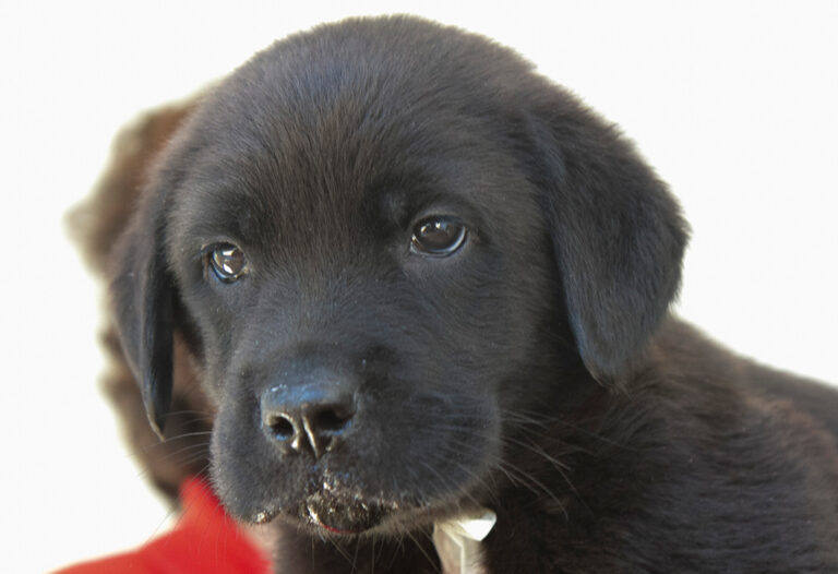 multimedia-foto64753-316-1