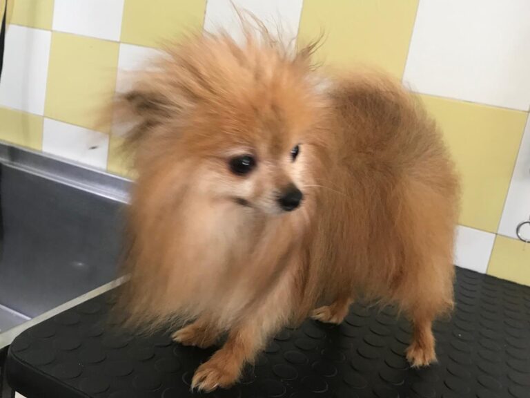 multimedia-foto64789-775-1