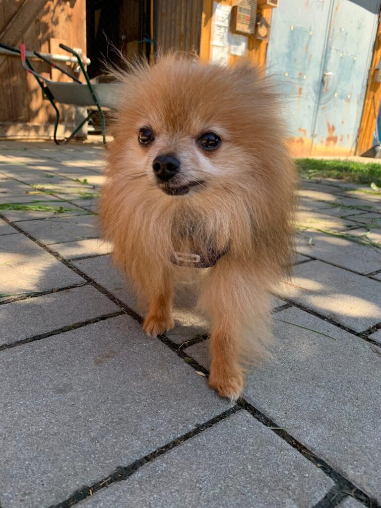 multimedia-foto64790-776-1