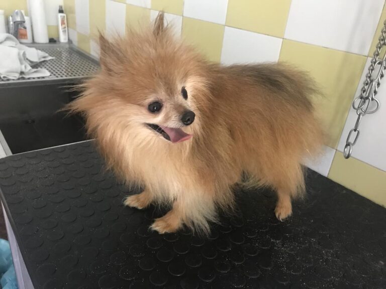 multimedia-foto64791-777-1