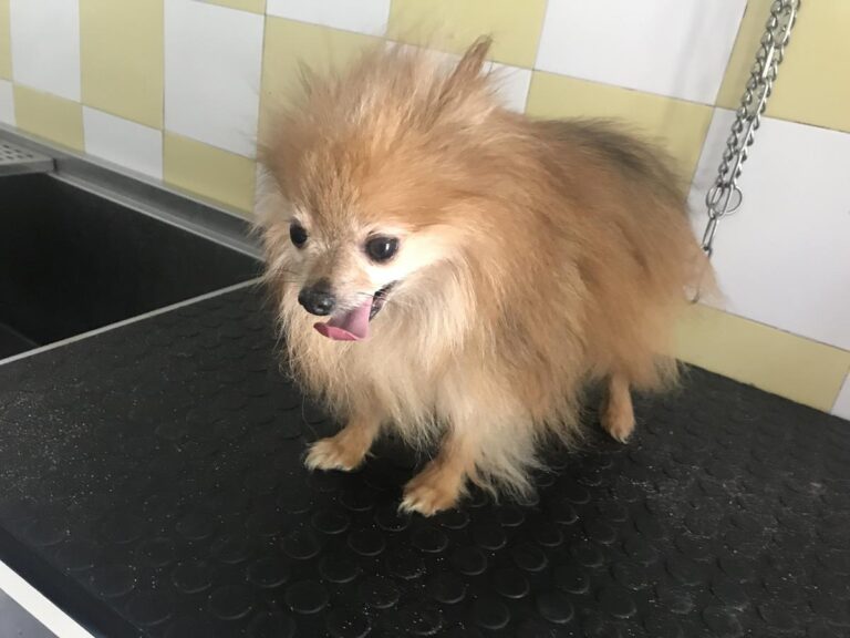 multimedia-foto64792-777-1