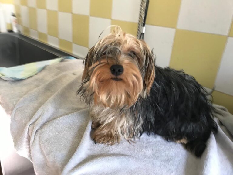 multimedia-foto64793-186-1