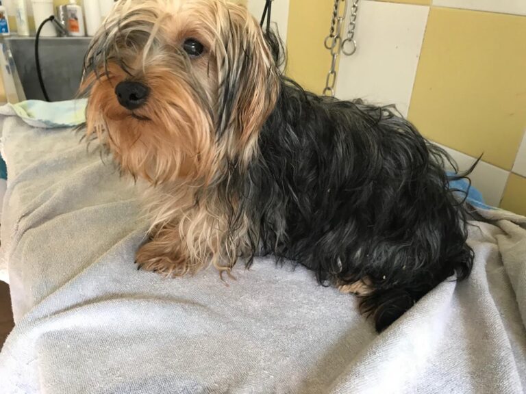 multimedia-foto64794-187-1