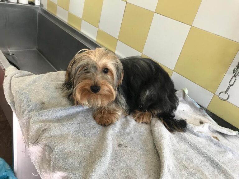 multimedia-foto64795-187-1