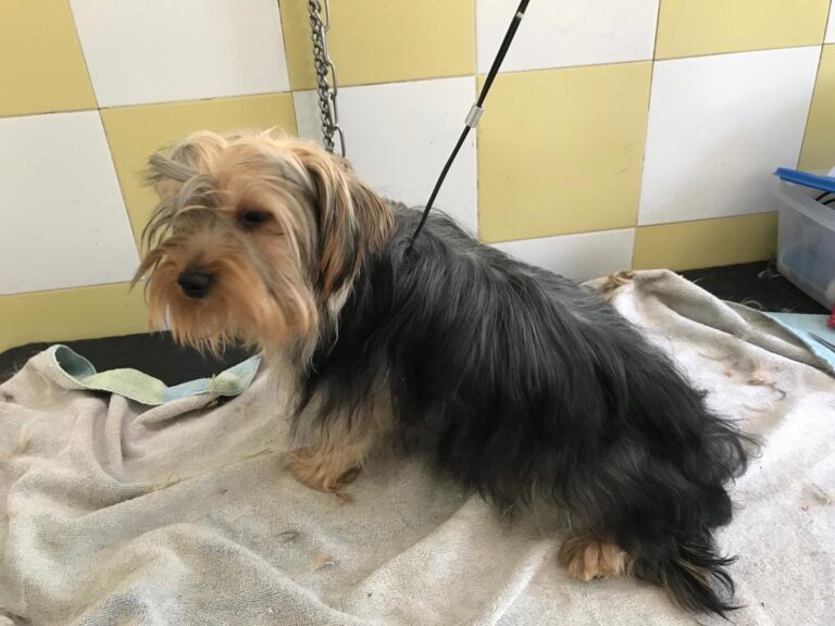 multimedia-foto64796-188-1