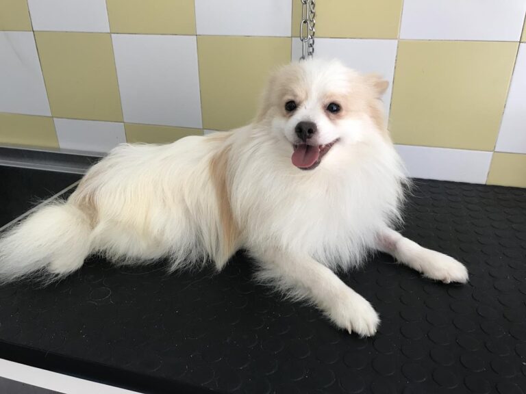 multimedia-foto64820-277-1