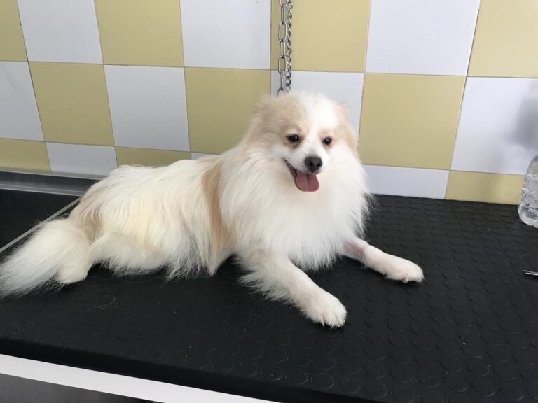 multimedia-foto64821-277-1