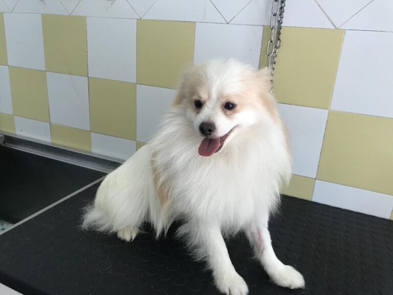 multimedia-foto64822-278-1