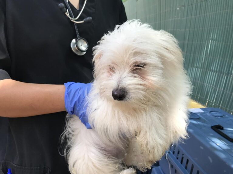 multimedia-foto64846-971-1