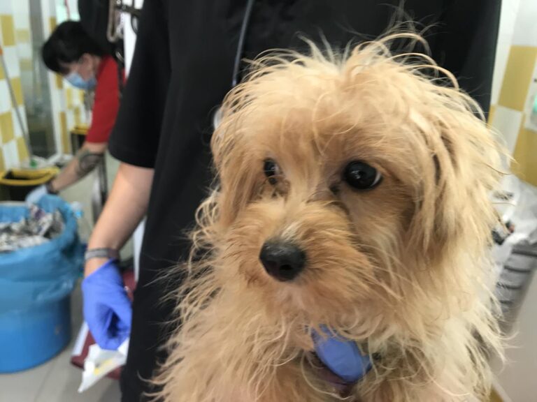 multimedia-foto64889-719-1