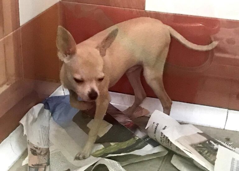 multimedia-foto64890-829-1