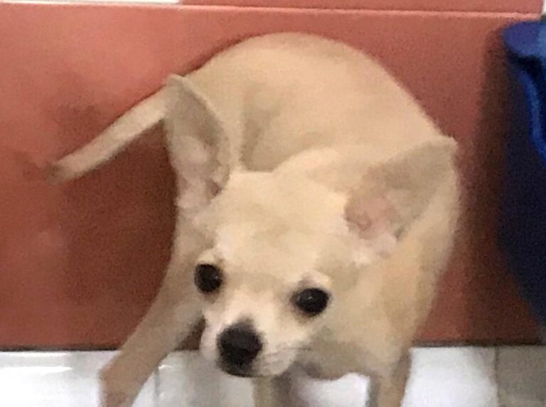 multimedia-foto64891-830-1