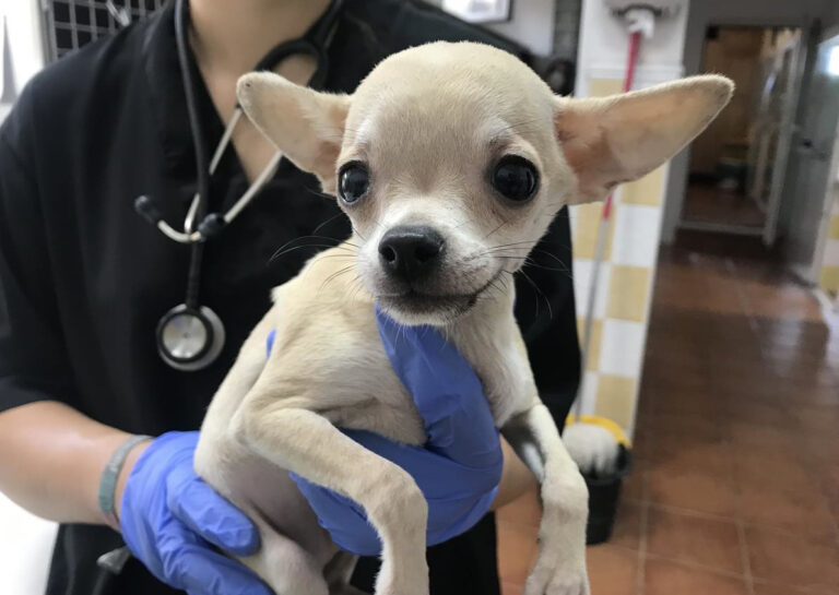 multimedia-foto64893-831-1