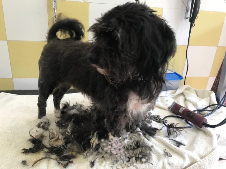 multimedia-foto64928-808-1