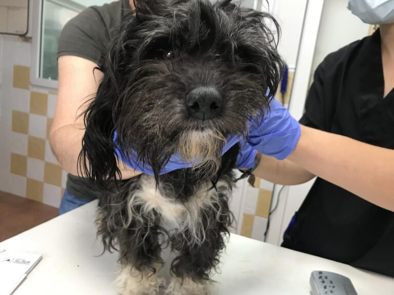 multimedia-foto64929-809-1