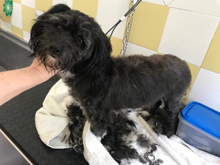 multimedia-foto64930-810-1