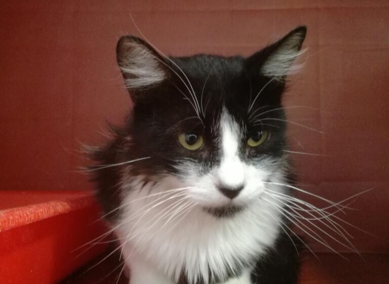 multimedia-foto64931-25-1